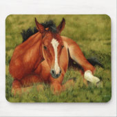 Opgerold - Resting Foal Mousepad Muismat (Voorkant)