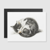 Opgerolde slaapkat (1825) (Voorkant / Achterkant)