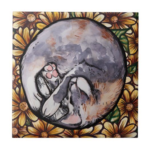 Opgerolde verdunde Calico Kitty Cat Tegeltje (Voorkant)