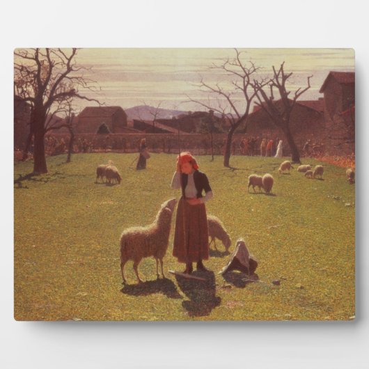 Opgeruimde hoop fotoplaat (Voorkant)