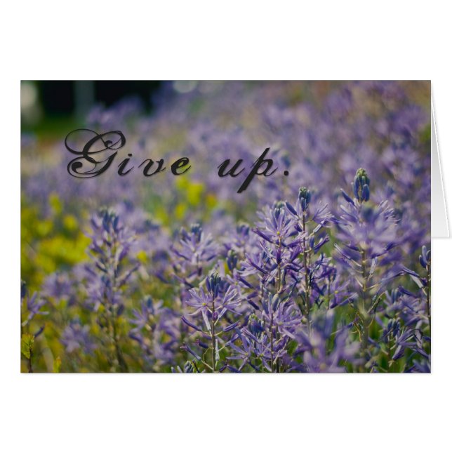 Opgeven (Voorkant Horizontaal)