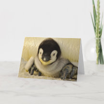 Opgevouwen Note Kaart BABY PENGUIN