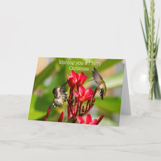 Opgevouwen wenskaart kaart (Voorkant)