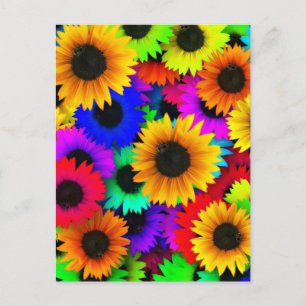 Opgewekte reeks kleurrijke zonnebloemen briefkaart