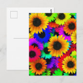 Opgewekte reeks kleurrijke zonnebloemen briefkaart (Voorkant / Achterkant)