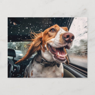 Opgewonden hond op regenachtige autorit kunstprint briefkaart