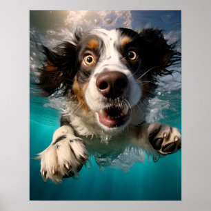 Opgewonden Hond Zwemt Onderwater Ontwerp Poster