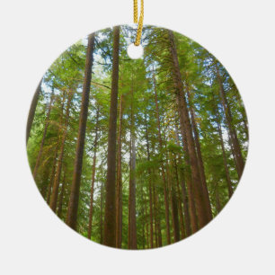 Opgroeiend naar Oerbos Keramisch Ornament