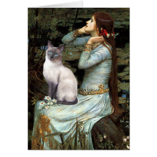 Ophelia - blauwpunt Siamees kat
