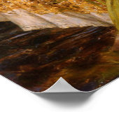 Ophelia by John William Waterhouse Poster (Hoek)