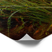 Ophelia by John William Waterhouse Poster (Hoek)