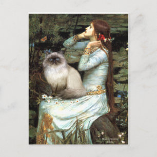 Ophelia - Himalayakat 7 Briefkaart