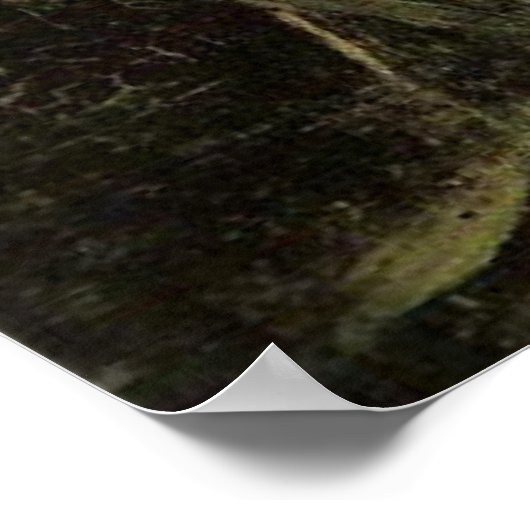 Ophelia - John William Waterhouse Poster (Hoek)