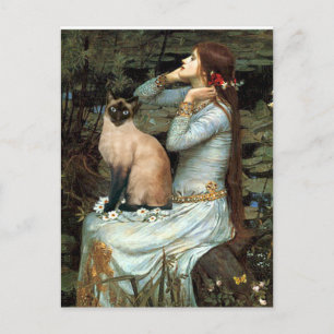 Ophelia - Seal Point Siamees Kat Briefkaart