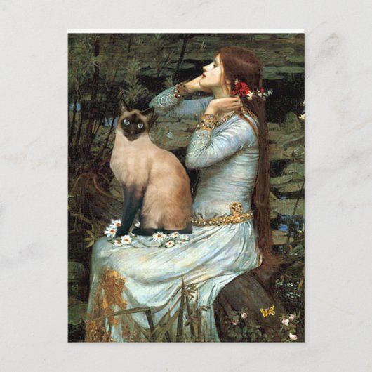 Ophelia - Seal Point Siamese Cat Briefkaart (Voorkant)