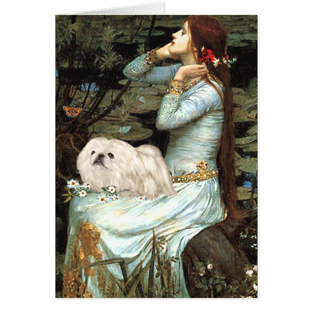 Ophelia - Witte Pekingees 4 (Voorkant)