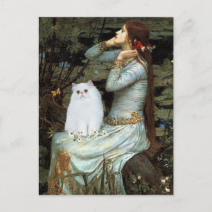 Ophelia - Witte Perzische kitten Briefkaart