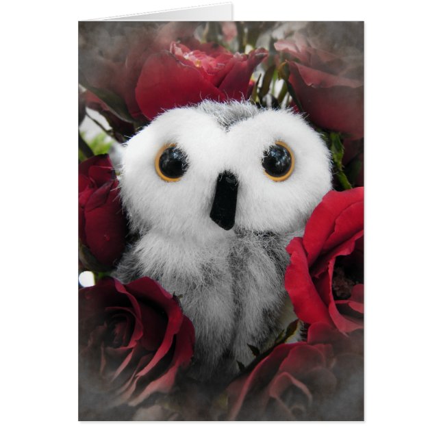 Ophélie et les Roses Vintages (Devant)