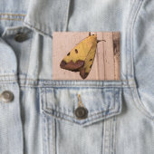 Ophiusa tirhaca, de groene draak button (Insitu)