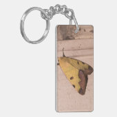 Ophiusa tirhaca, de groene draak sleutelhanger (Voorkant Links)