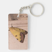 Ophiusa tirhaca, de groene draak sleutelhanger (achterkant)