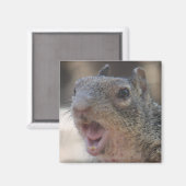 Opinionated Eekhoorn Magnet Magneet (Voorkant / Achterkant)