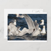 Opkomende Golven Briefkaart (Voorkant / Achterkant)