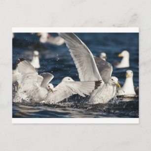 Opkomende Golven Briefkaart