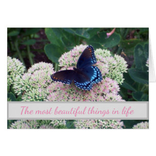 Opkomende knelpunten voor vlinders