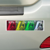 OPL Rasta Colors Bumpersticker (Op auto)