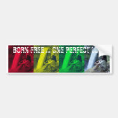 OPL Rasta Colors Bumpersticker (Voorkant)