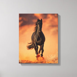 Oplaad Zwart Paard Vurig Zonsondergang Kunst Canvas Afdruk