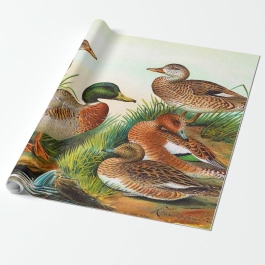 opleggers bij het platform 3 ontkoppeling cadeaupapier (Uitgerold)