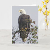 Opmerking Kaart (Gele Bloem)