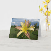 Opmerking Kaart Daylillies (Gele Bloem)