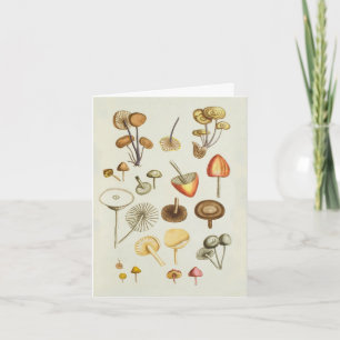 Opmerking Kaart/ illustratie van paddenstoelen Notitiekaartje