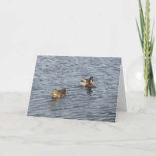 OPMERKING KAART: Lake Harriet, "Ducks"_ Kaart