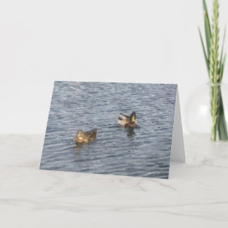 OPMERKING KAART: Lake Harriet, "Ducks"_ Kaart
