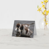 Opmerking Kaart: Shelduck Chicks 4 Kaart (Gele Bloem)