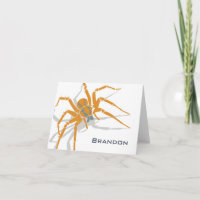Opmerking Kaart - Spider