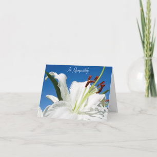 Opmerking Kaart_Sympathy_Stargazer Kaart