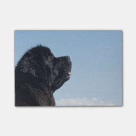 Opmerking over denkbeeldige Inka Postit Post-it® Notes