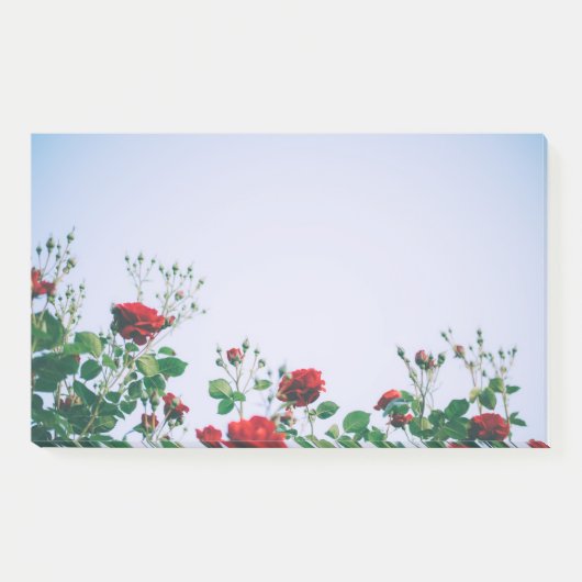 Opmerkingen plaatsen post-it® notes (Voorkant)