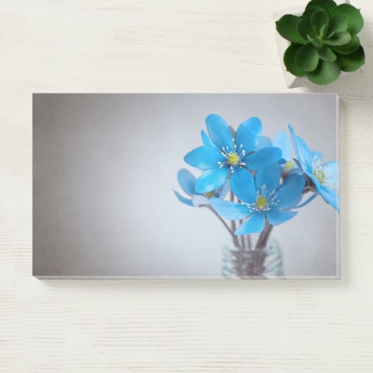 Opmerkingen plaatsen post-it® notes (Kantoor)