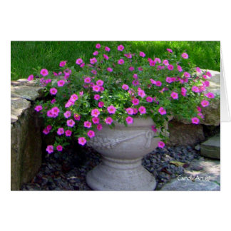 Opmerkingen van de roze bloemplanter