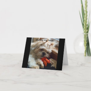 Opmerkingskaarten / Amazing Grace & Glory Bea Kaart