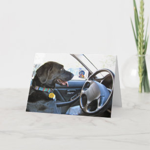 Opnieuw op pad kaart