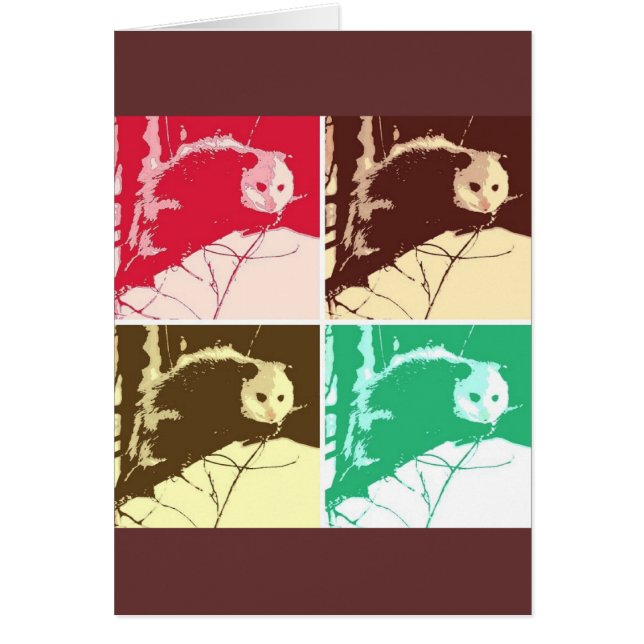 Opossum (Devant)
