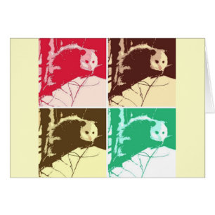 Opossum