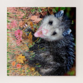 Opossum Animal Legpuzzel (Horizontaal)